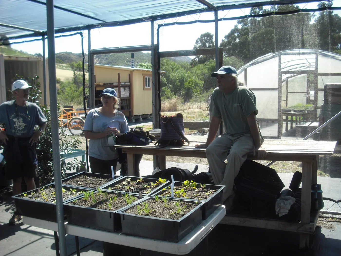 Growing Solutions Nursery, SBBG Field Trip to Santa Cruz Island, 2011