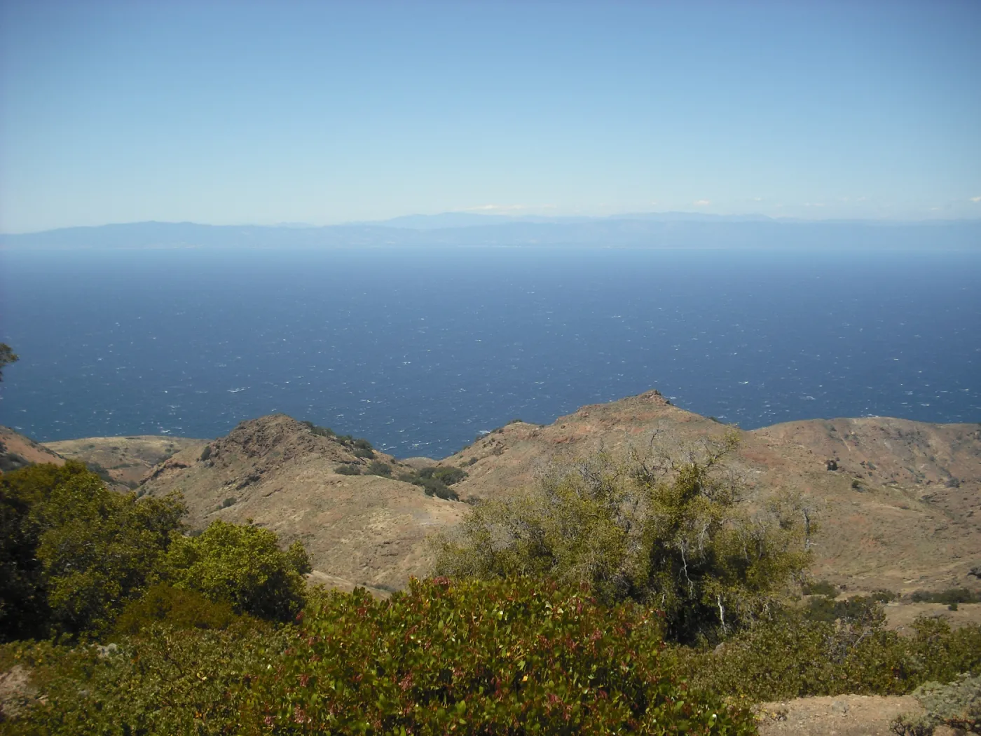 view of mainland from trail to Mt Diablo, SBBG Field Trip to Santa Cruz Island, 2011