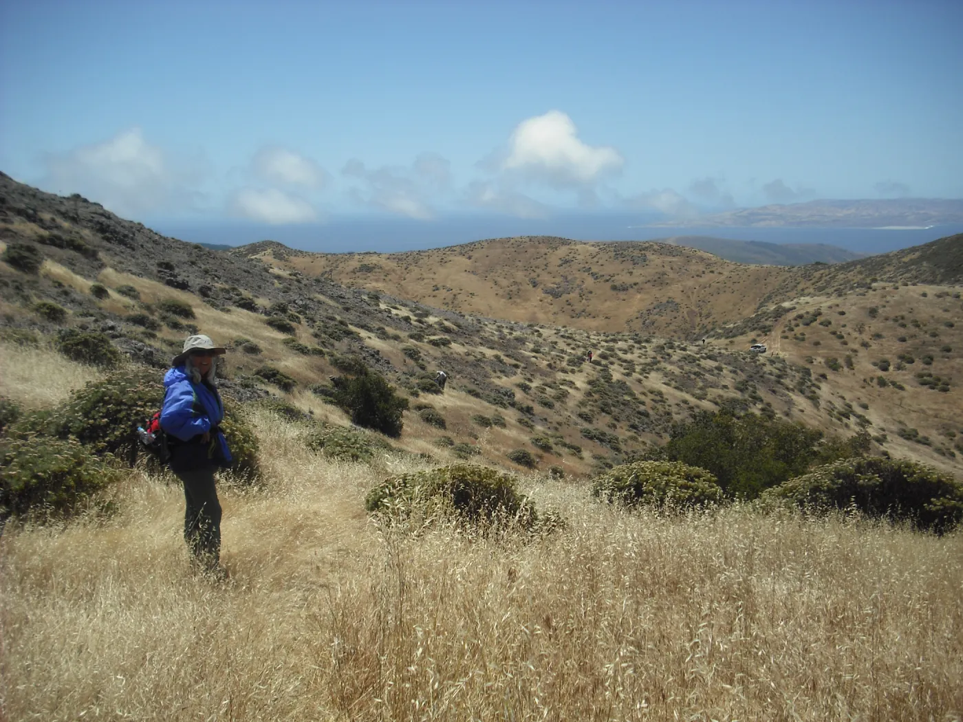trail to Mt Diablo, SBBG Field Trip to Santa Cruz Island, 2011SBBG Field Trip to Santa Cruz Island, 2011