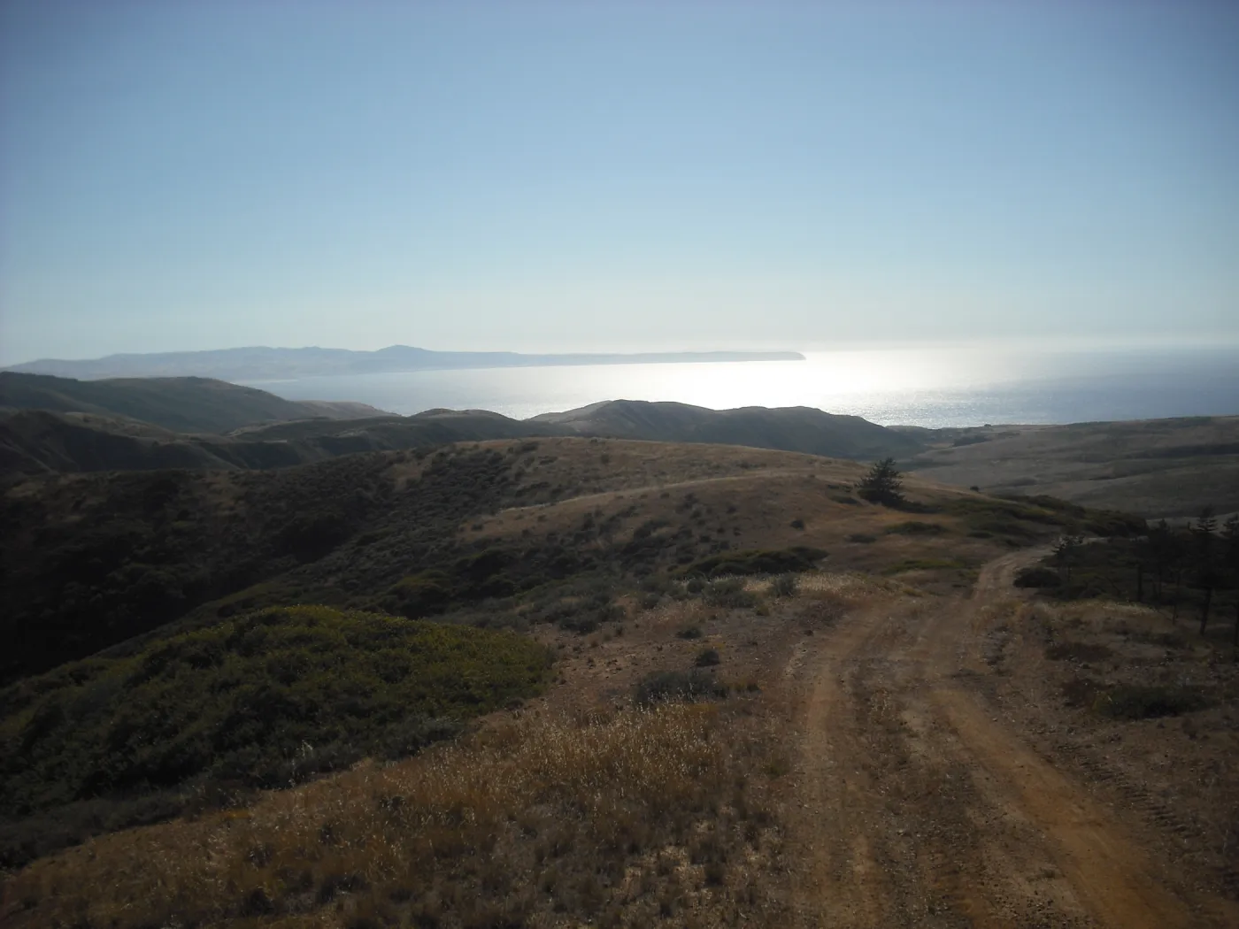 Ridge Road, viewing west to Santa Rosa island, SBBG Field Trip to Santa Cruz Island, 2011