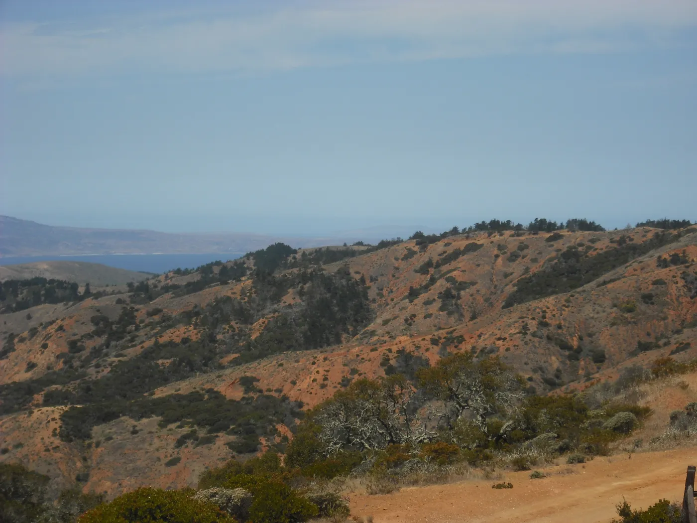 Ridge Road, viewing west to Santa Rosa island, SBBG Field Trip to Santa Cruz Island, 2011