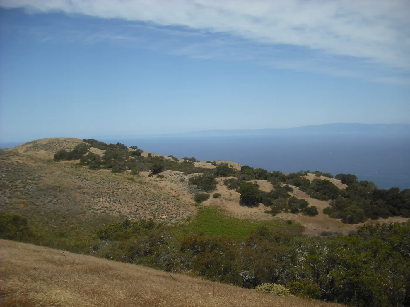 Ridge Road, viewing west to Santa Rosa island, SBBG Field Trip to Santa Cruz Island, 2011