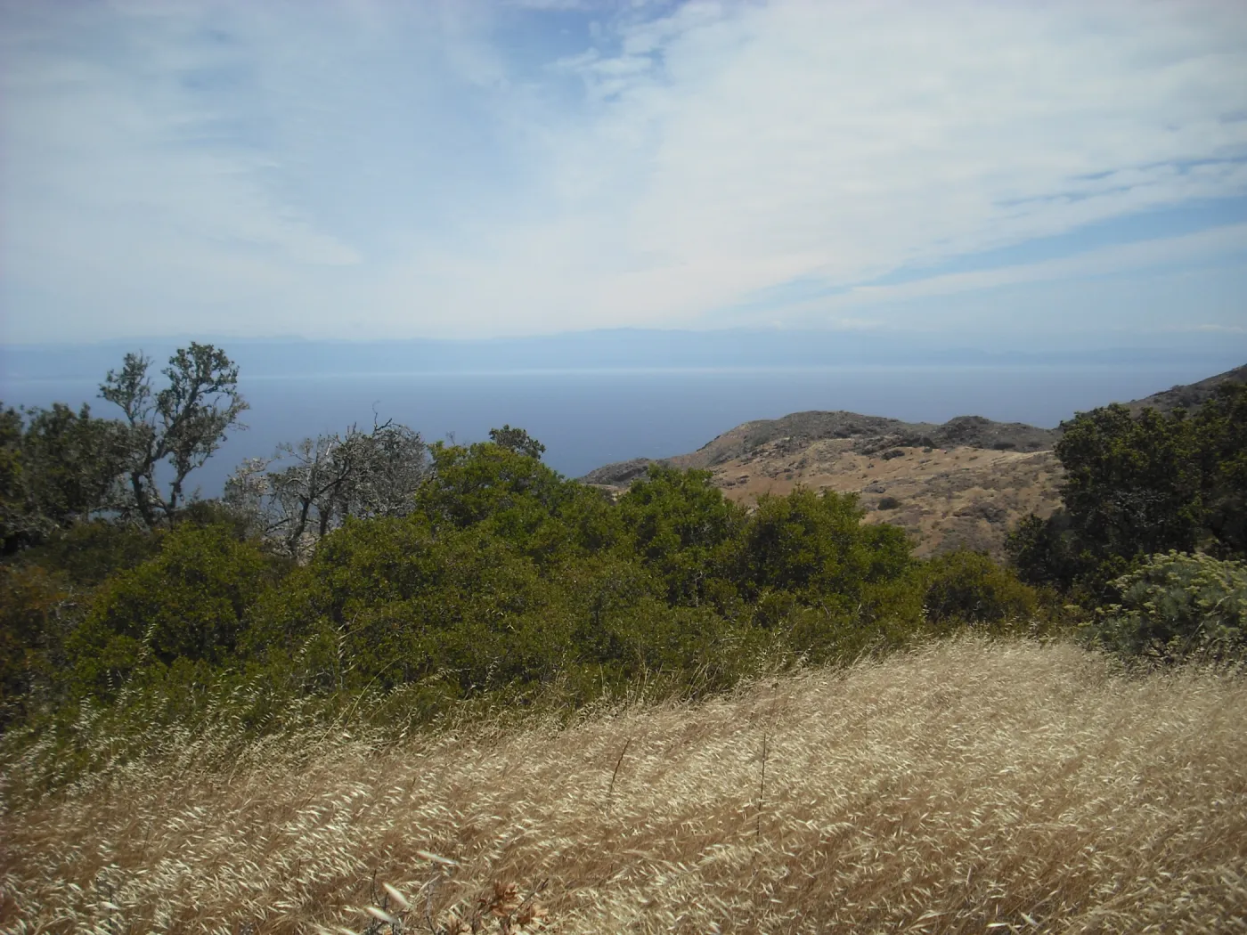 Ridge Road, viewing west to Santa Rosa island, SBBG Field Trip to Santa Cruz Island, 2011