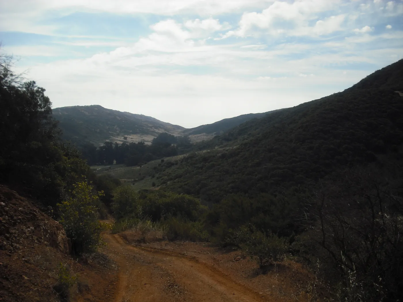 Central Valley Road, SBBG Field Trip to Santa Cruz Island, 2011