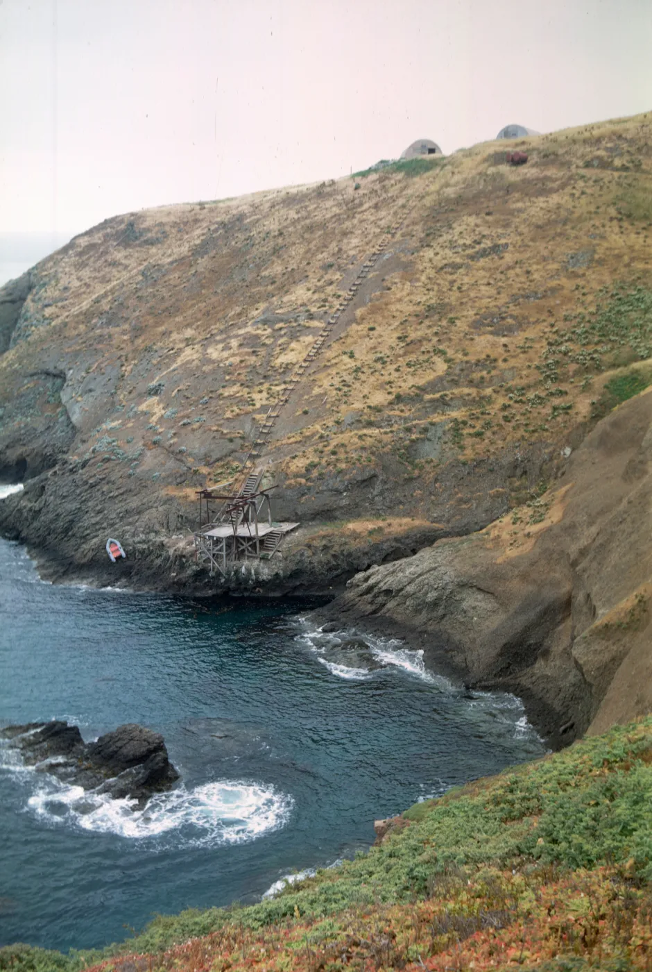Santa Barbara Island, Landing Cove