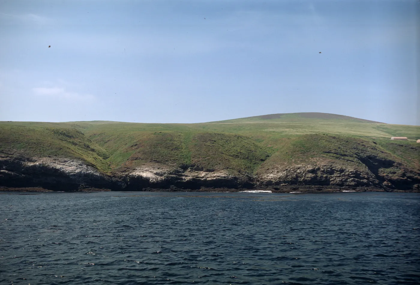 Santa Barbara Island