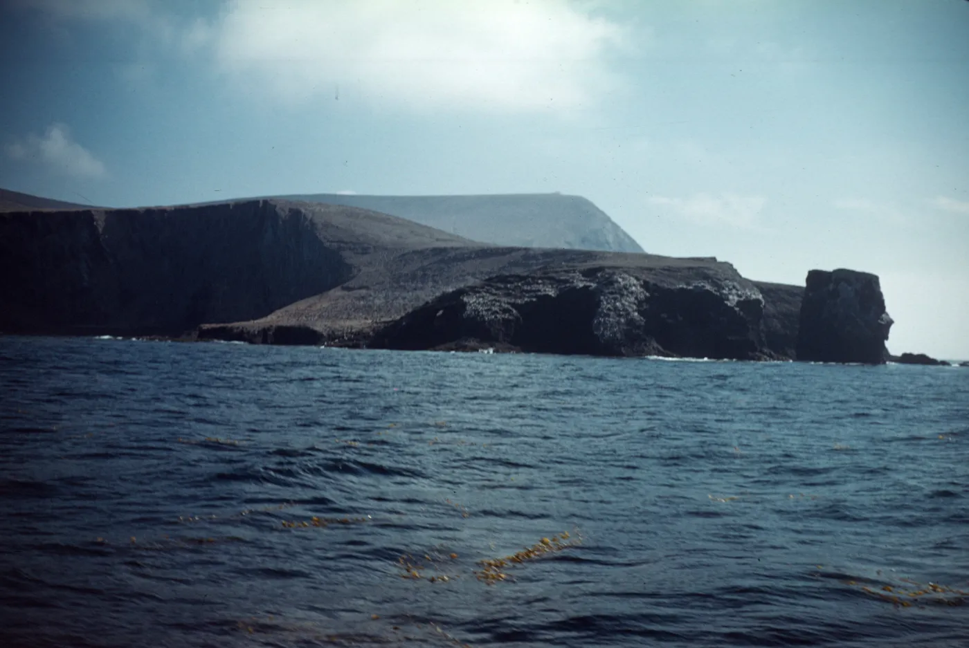 Webster Point, looking south with Signal Peak in distance, Santa Barbara Island