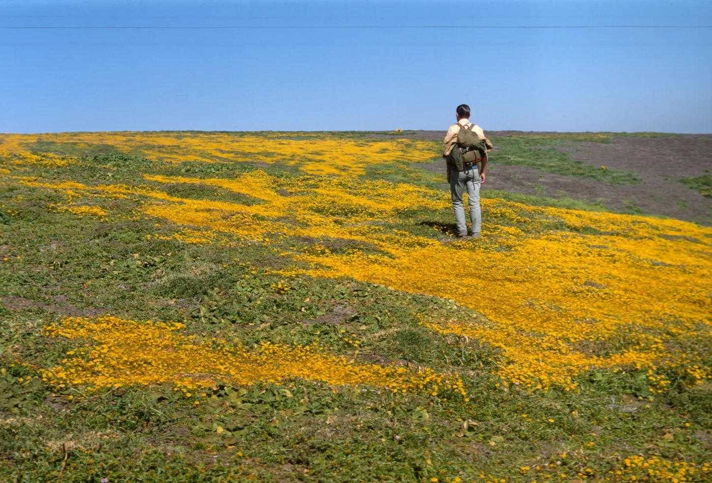 Santa Barbara Island