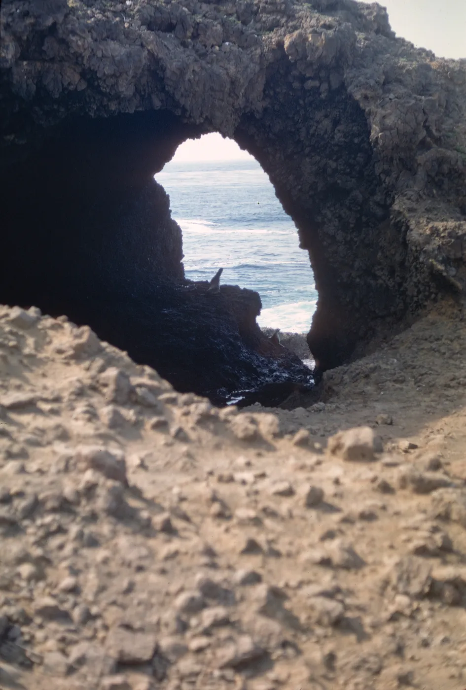 Santa Barbara Island