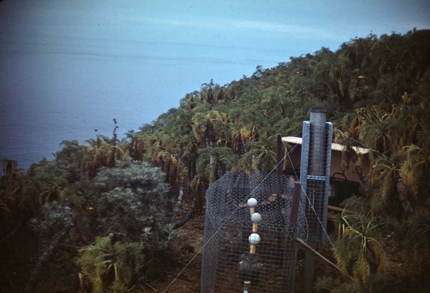 Station A1, Santa Barbara Island