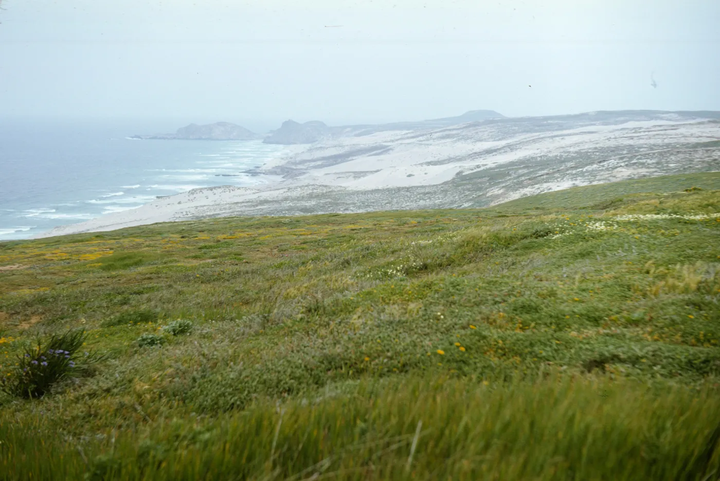 San Miguel Island