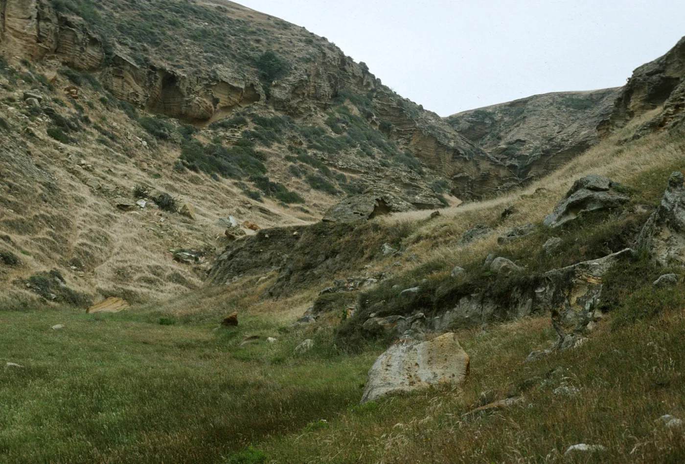 Santa Rosa Island