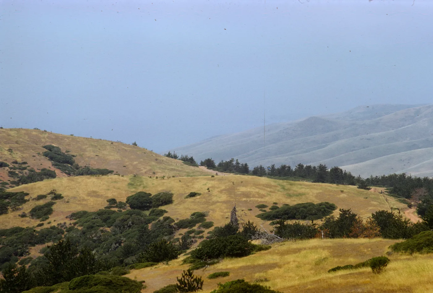 Santa Cruz Island