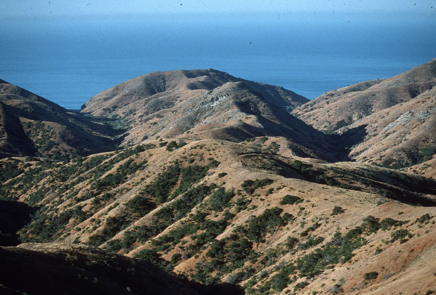 Santa Cruz Island