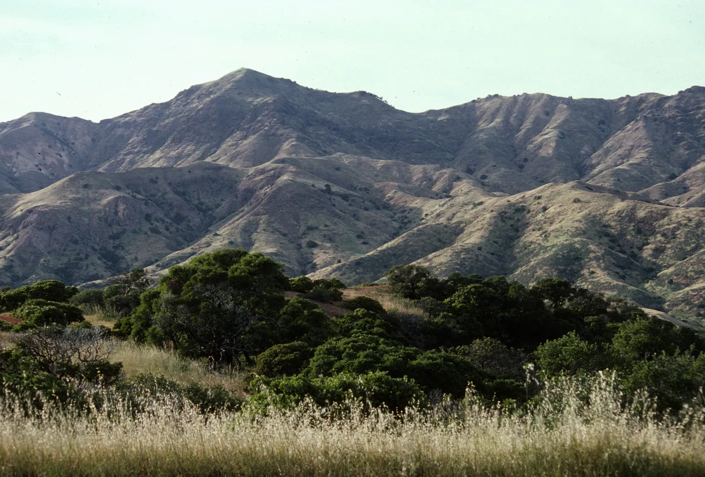 Laguna Blanca, Santa Cruz Island