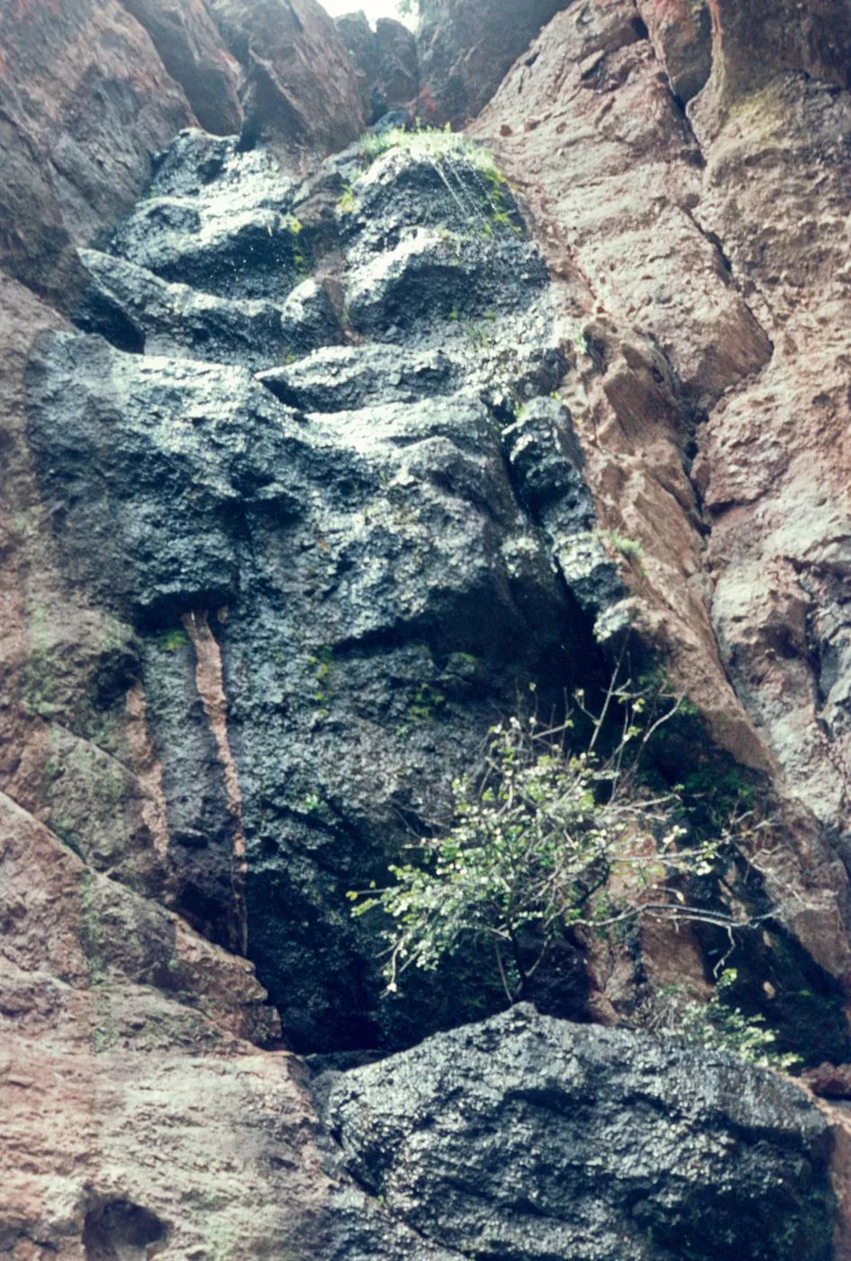 dripping spring, seep, Pinnacles National Monument