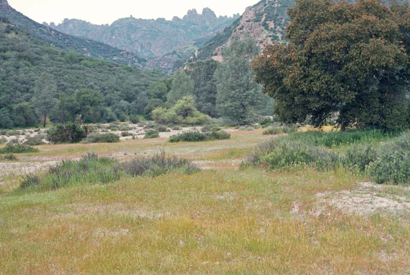 Pinnacles National Monument