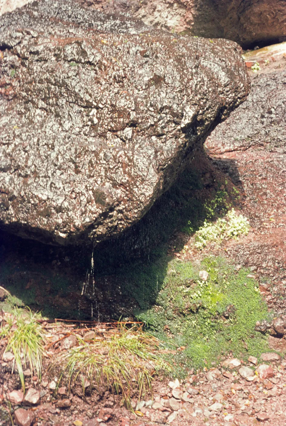 dripping rock, Pinnacles National Monument