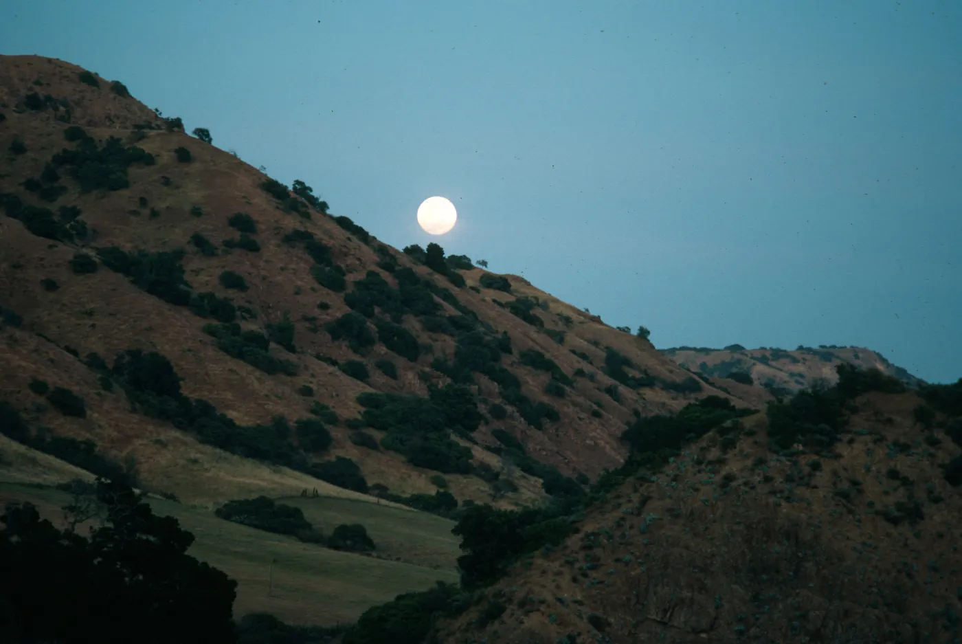 Moon, W of Field Station, Santa Cruz Island
