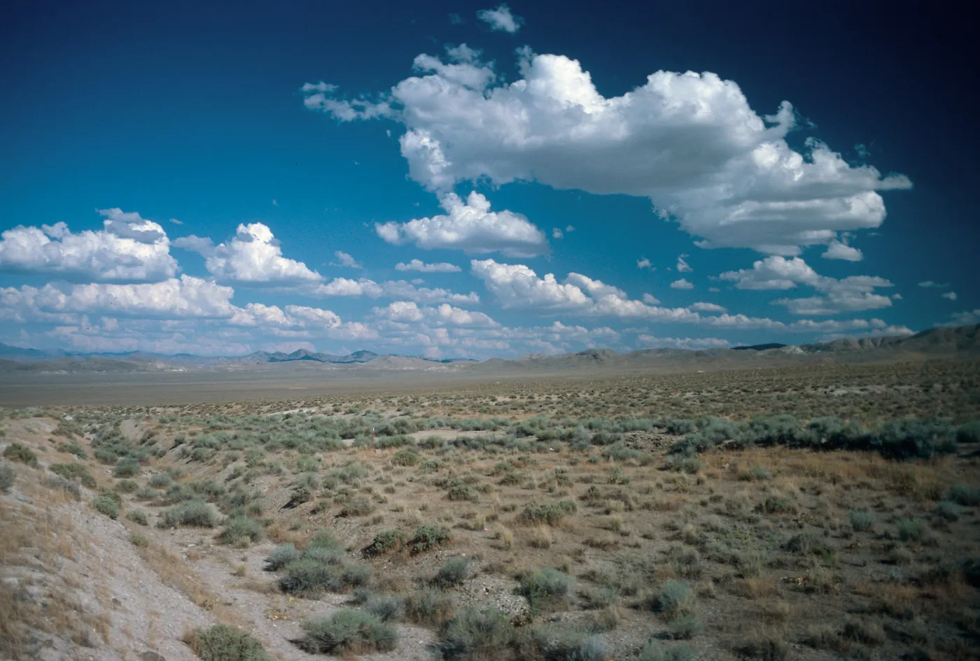 looking East across Stingaree Valley, East of Fallon, Nevada
