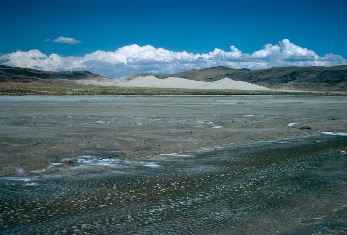 salt flats w/Sand Mountain in background, East of Fallon, Nevada