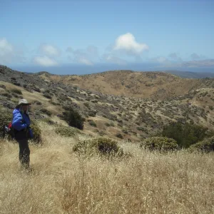 trail to Mt Diablo, SBBG Field Trip to Santa Cruz Island, 2011SBBG Field Trip to Santa Cruz Island, 2011