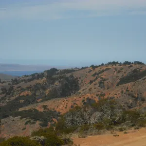 Ridge Road, viewing west to Santa Rosa island, SBBG Field Trip to Santa Cruz Island, 2011
