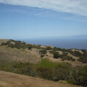 Ridge Road, viewing west to Santa Rosa island, SBBG Field Trip to Santa Cruz Island, 2011