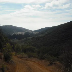Central Valley Road, SBBG Field Trip to Santa Cruz Island, 2011
