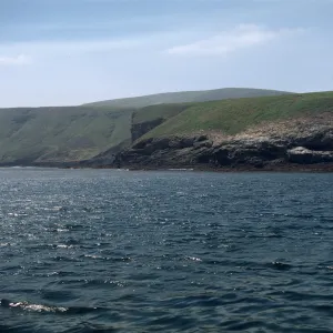 Santa Barbara Island