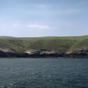Santa Barbara Island