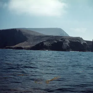 Webster Point, looking south with Signal Peak in distance, Santa Barbara Island