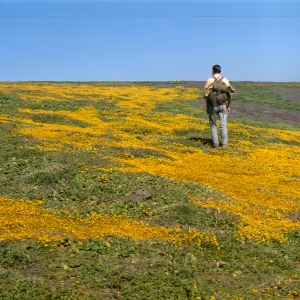 Santa Barbara Island