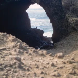 Santa Barbara Island