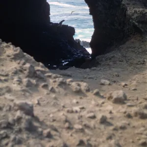 Santa Barbara Island, Webster Point