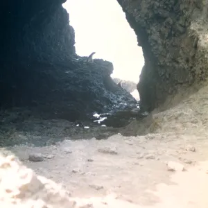 Santa Barbara Island, Webster Point