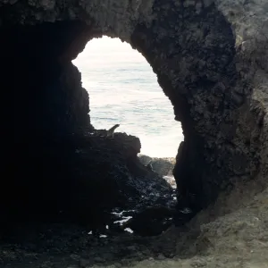 Santa Barbara Island, Webster Point
