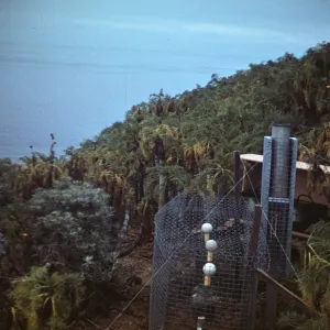 Station A1, Santa Barbara Island