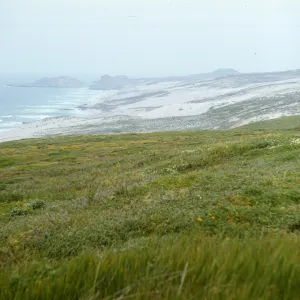 San Miguel Island