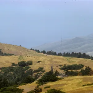 Santa Cruz Island