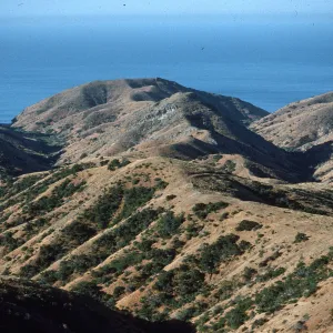 Santa Cruz Island