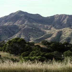 Laguna Blanca, Santa Cruz Island