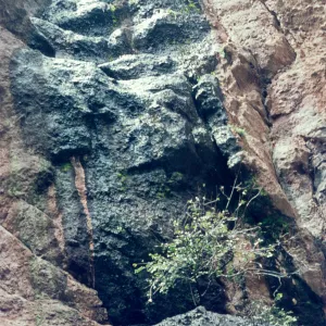 dripping spring, seep, Pinnacles National Monument