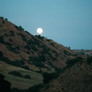 Moon, W of Field Station, Santa Cruz Island