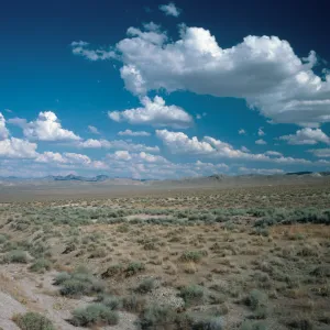 looking East across Stingaree Valley, East of Fallon, Nevada