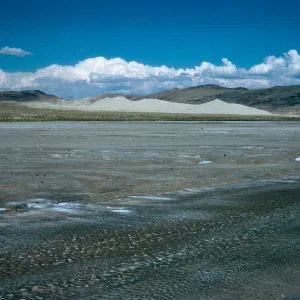 salt flats w/Sand Mountain in background, East of Fallon, Nevada