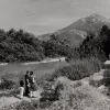 Family viewing the Meadow