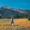 two girls in the meadow
