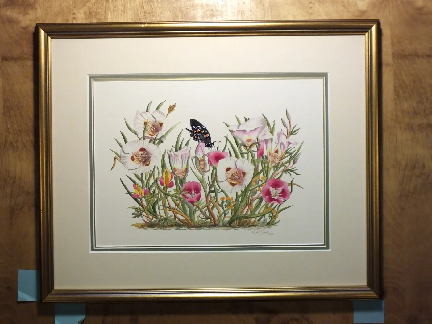 Mariposas and Clarkias
