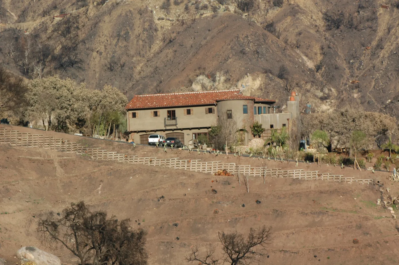 Tea fire, vegetation around burned home site